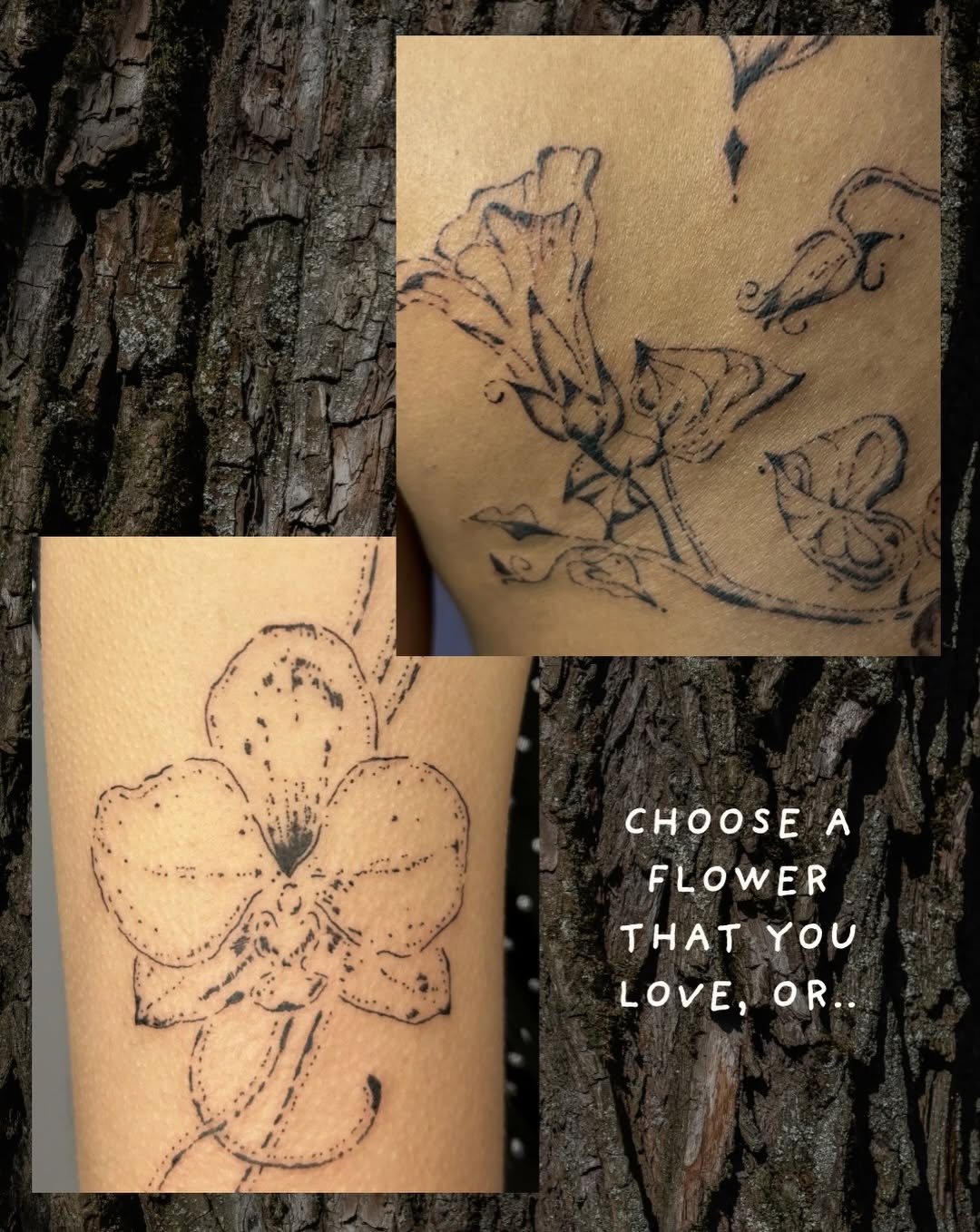 Tattoo by @wanderfernfairy — fine_line