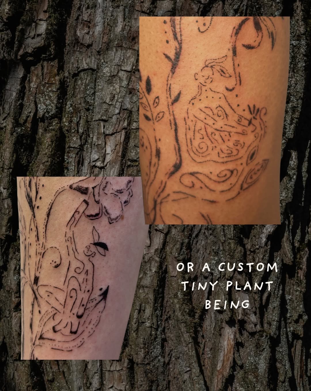 Tattoo by @wanderfernfairy — sketch