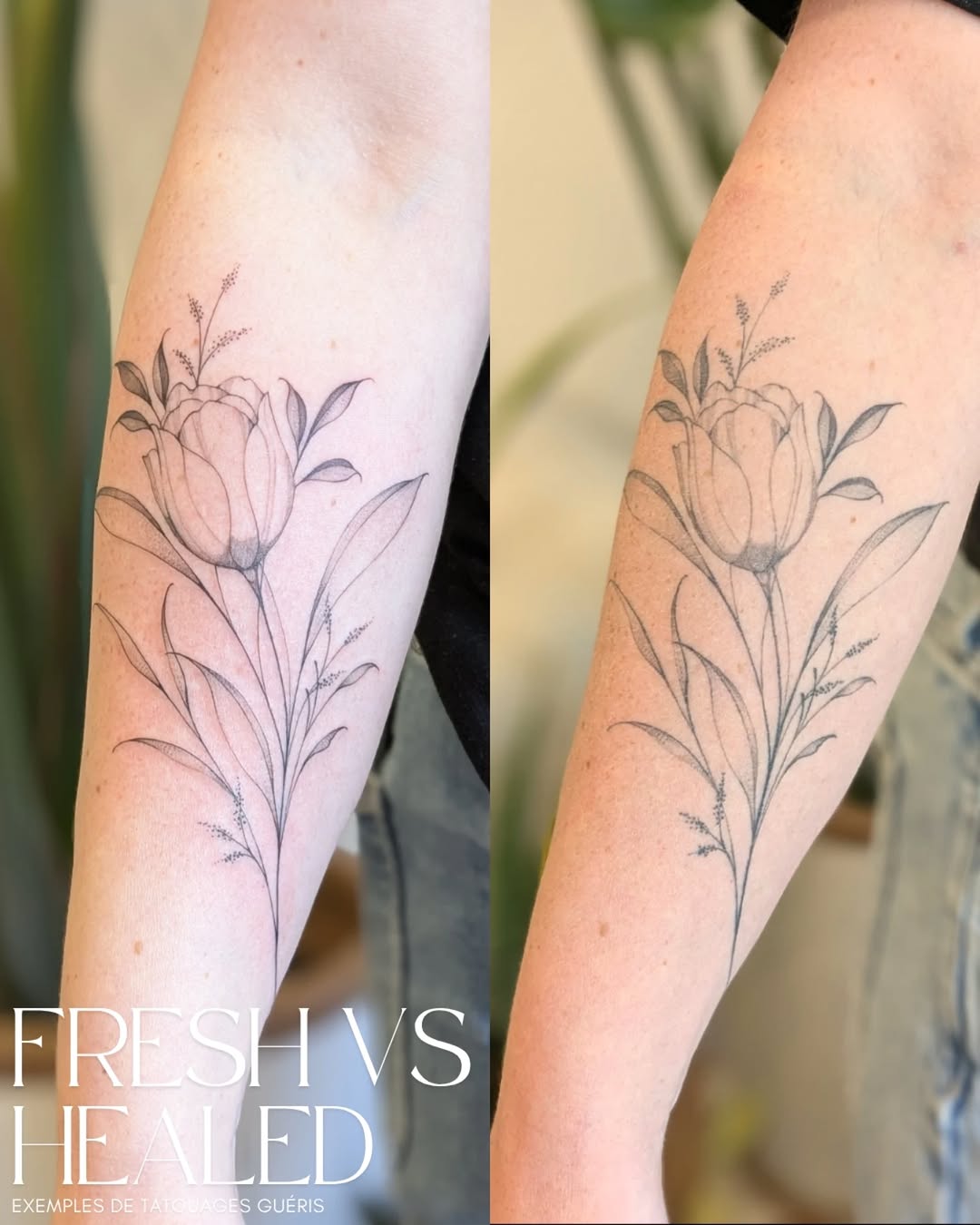 Tattoo by @le.petitmonstre — fine_line, black_and_grey