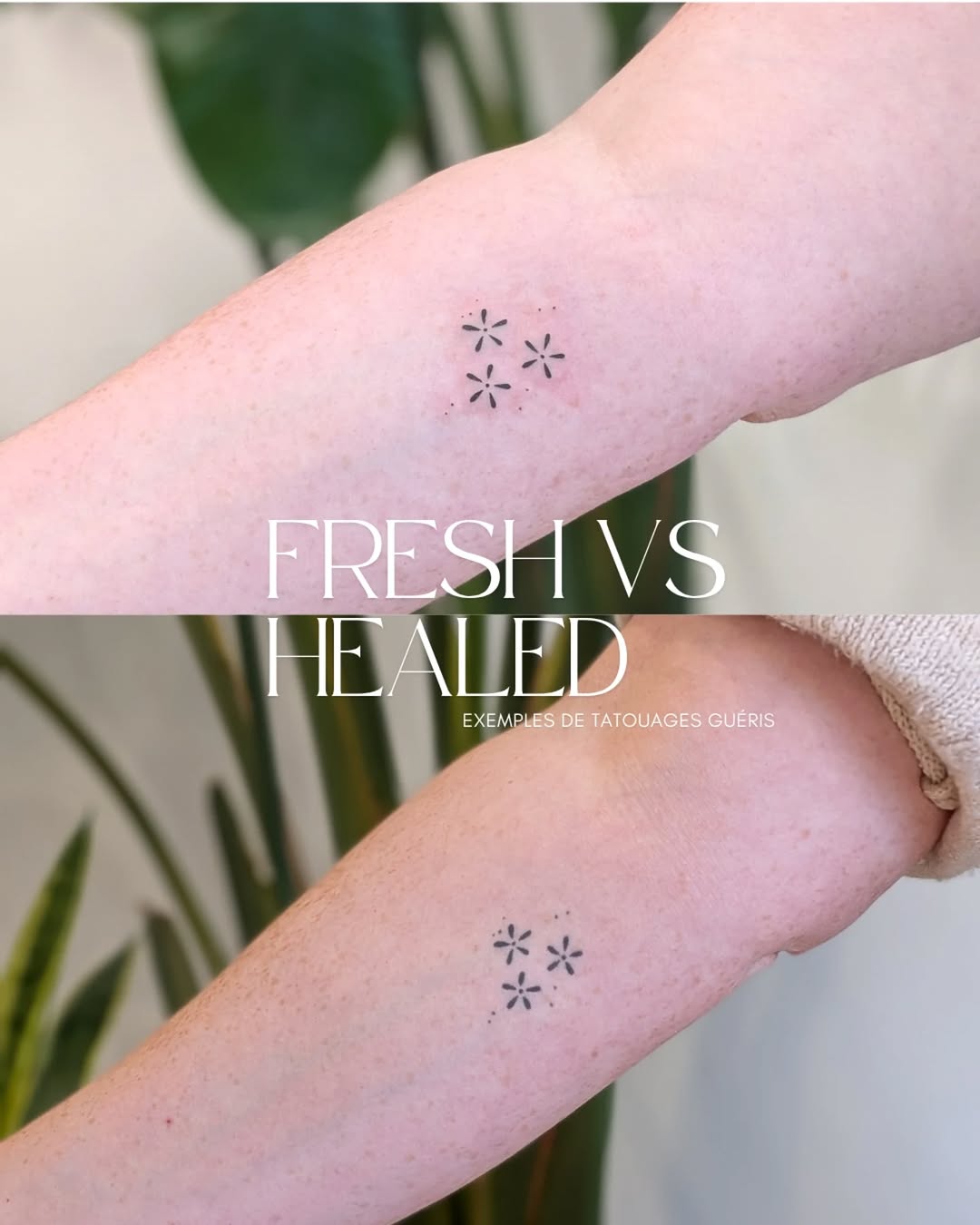 Tattoo by @le.petitmonstre — fine_line, minimalist