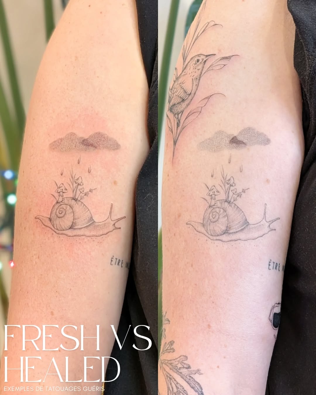 Tattoo by @le.petitmonstre — fine_line, illustrative