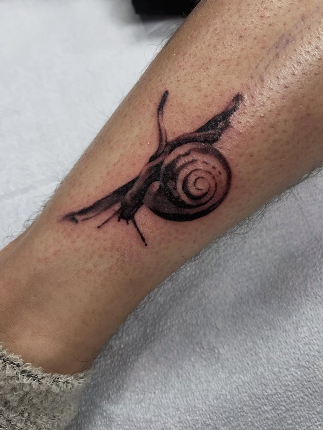 Tattoo by @velvet.snails — black_and_grey, realism