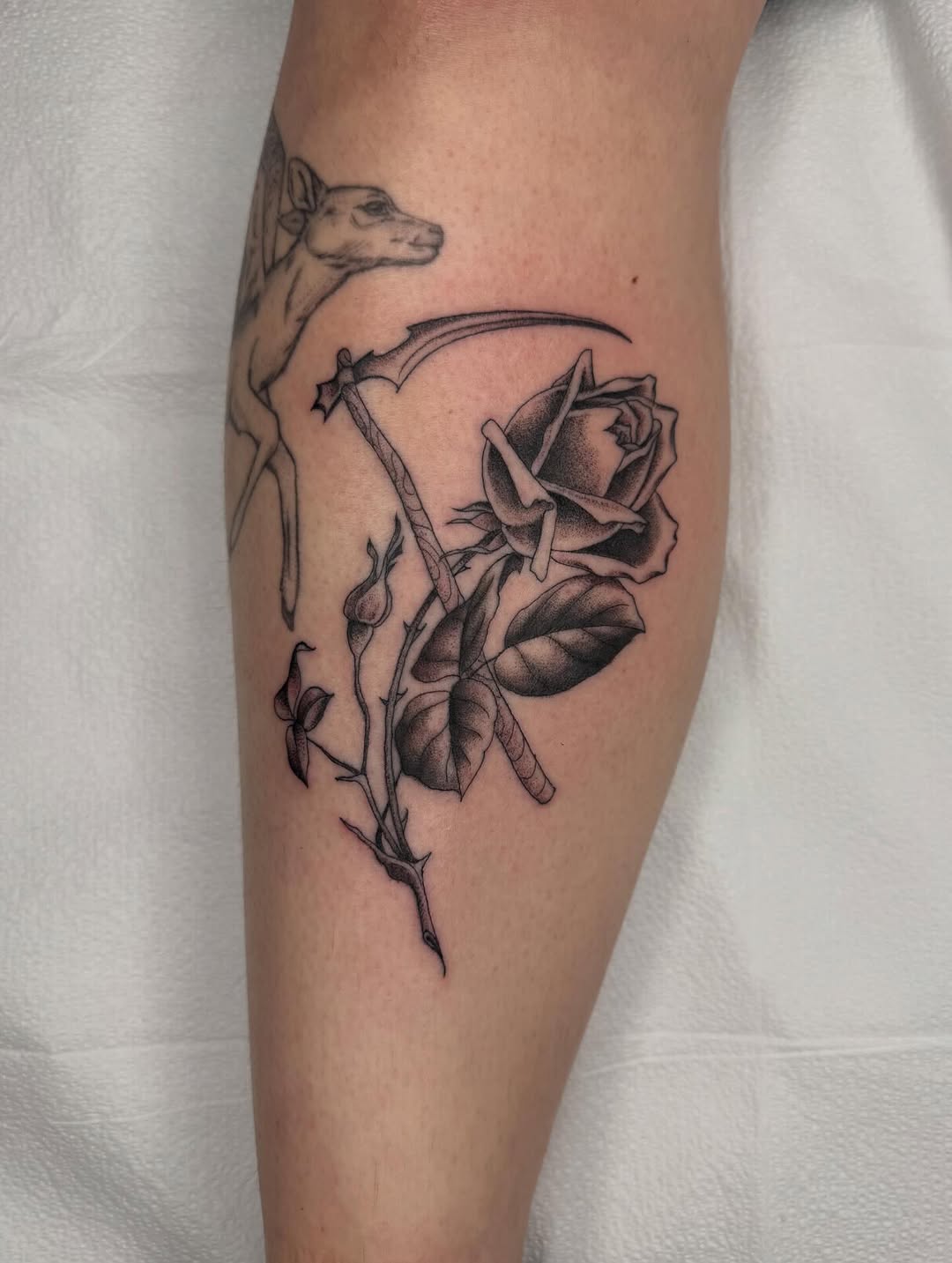 Tattoo by @mothmilk — black_and_grey, realism