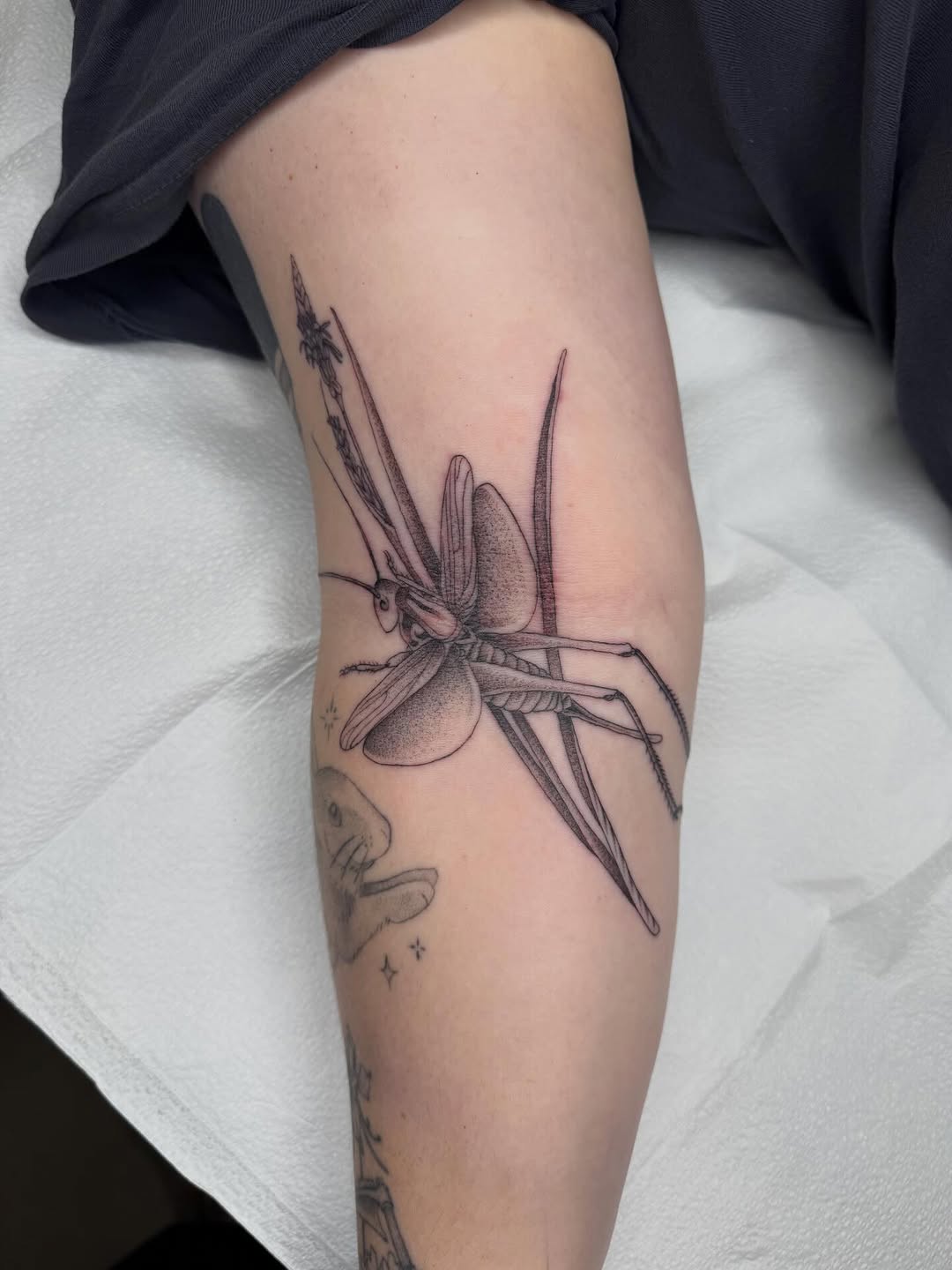 Tattoo by @mothmilk — black_and_grey, realism