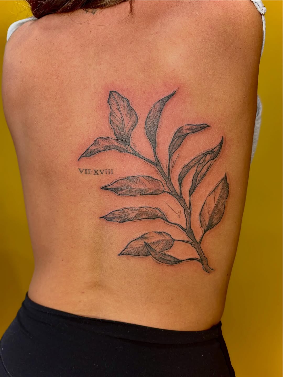 Tattoo by @jazzlyntattoos — illustrative, fine_line