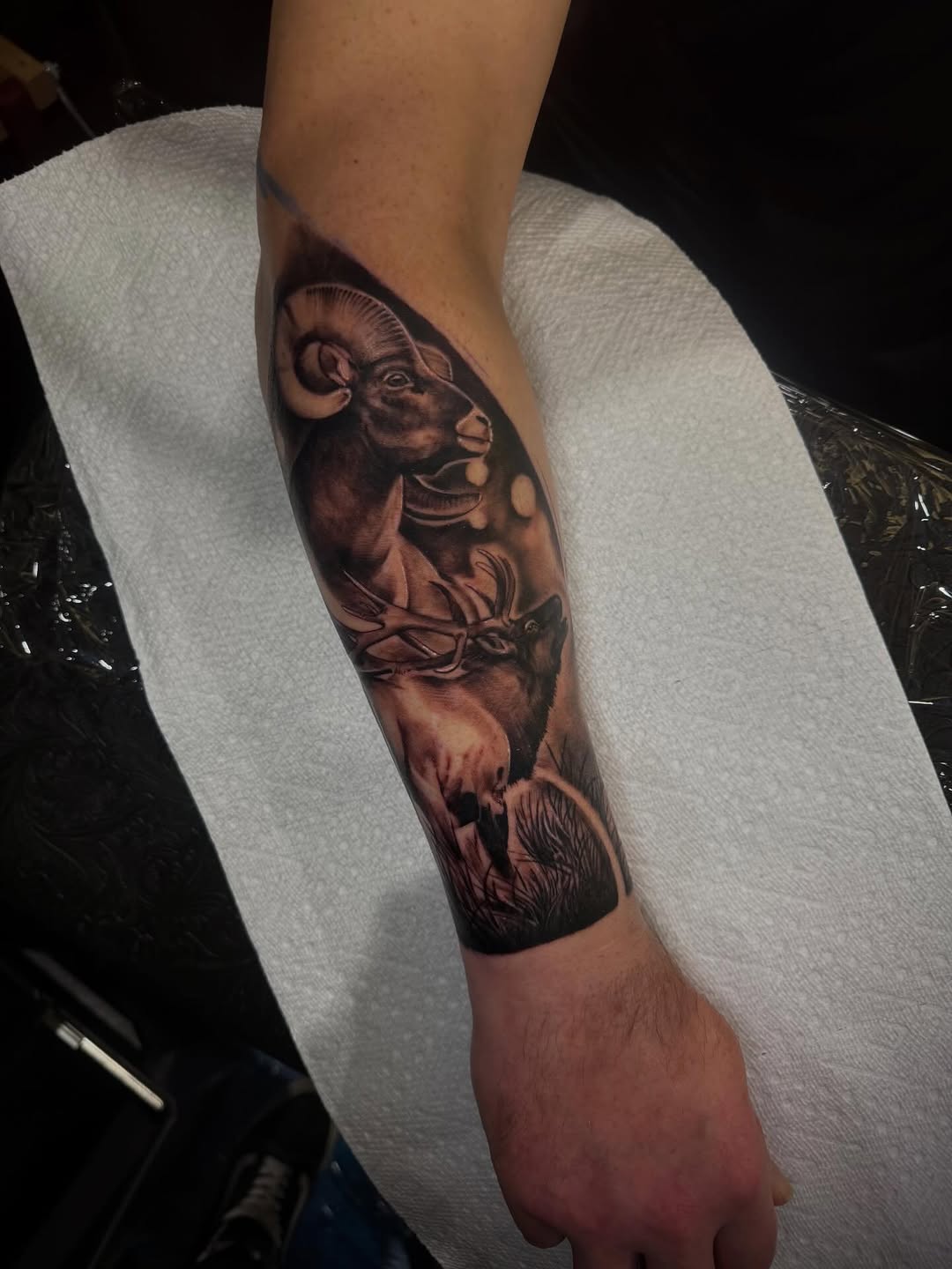Tattoo by @whip_spurstattoo — realism, black_and_grey