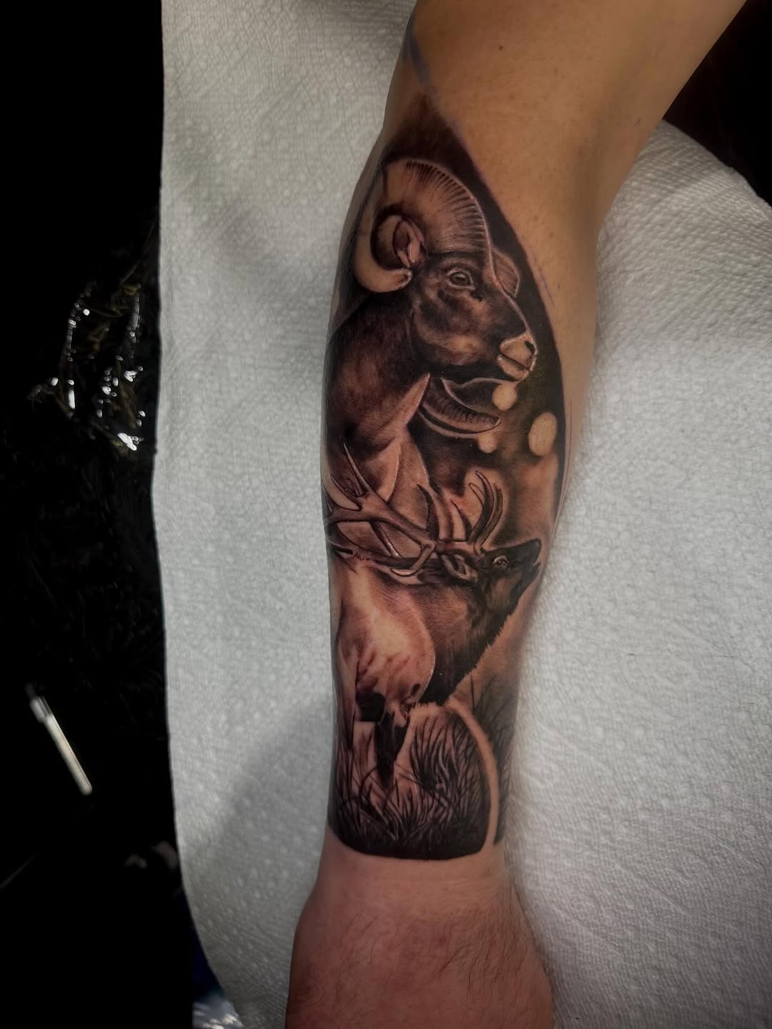 Tattoo by @whip_spurstattoo — realism, black_and_grey