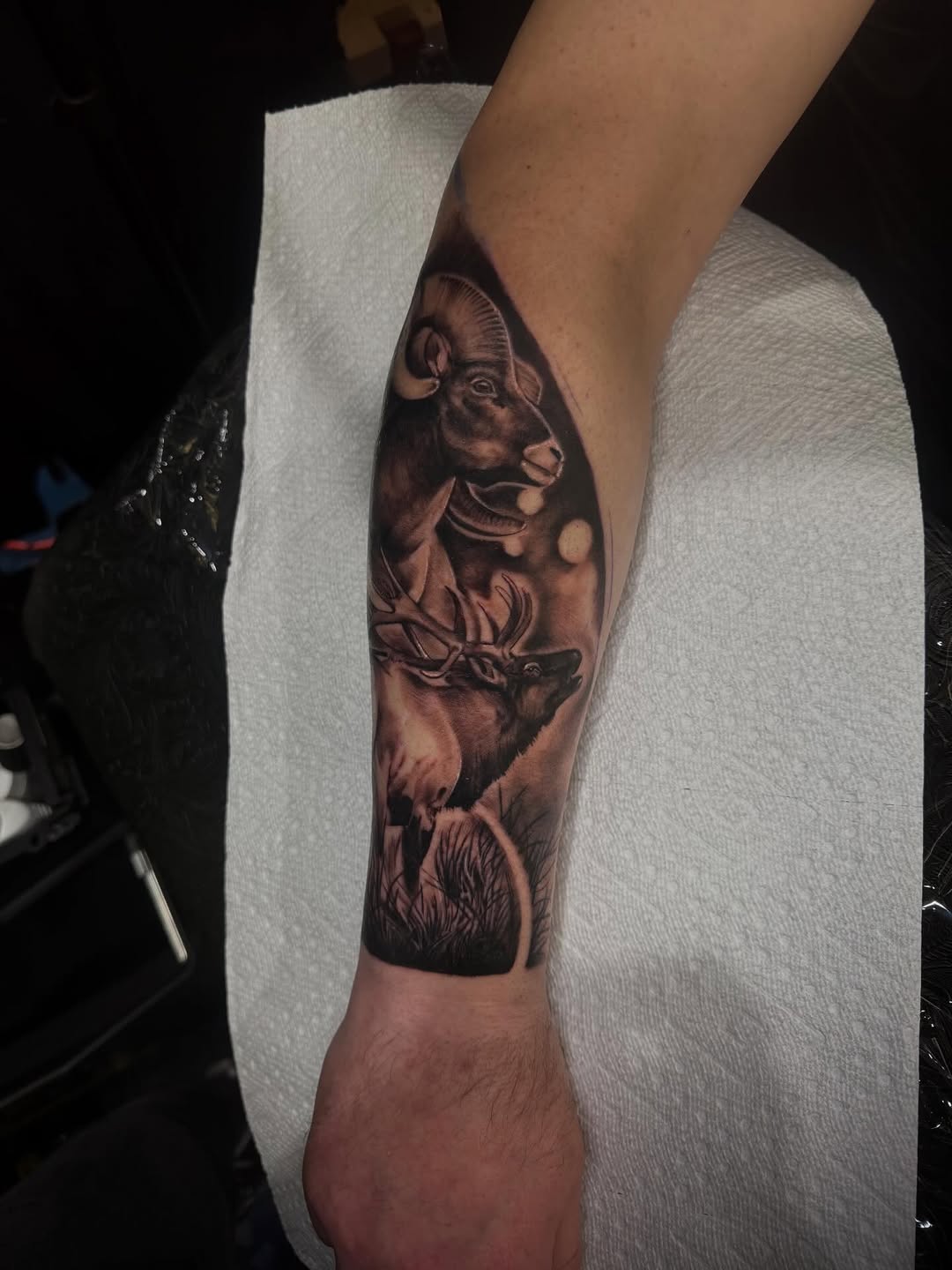 Tattoo by @whip_spurstattoo — realism, black_and_grey