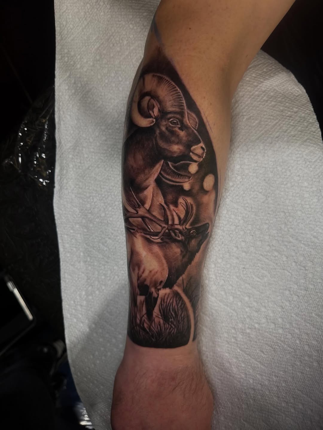 Tattoo by @whip_spurstattoo — realism, black_and_grey