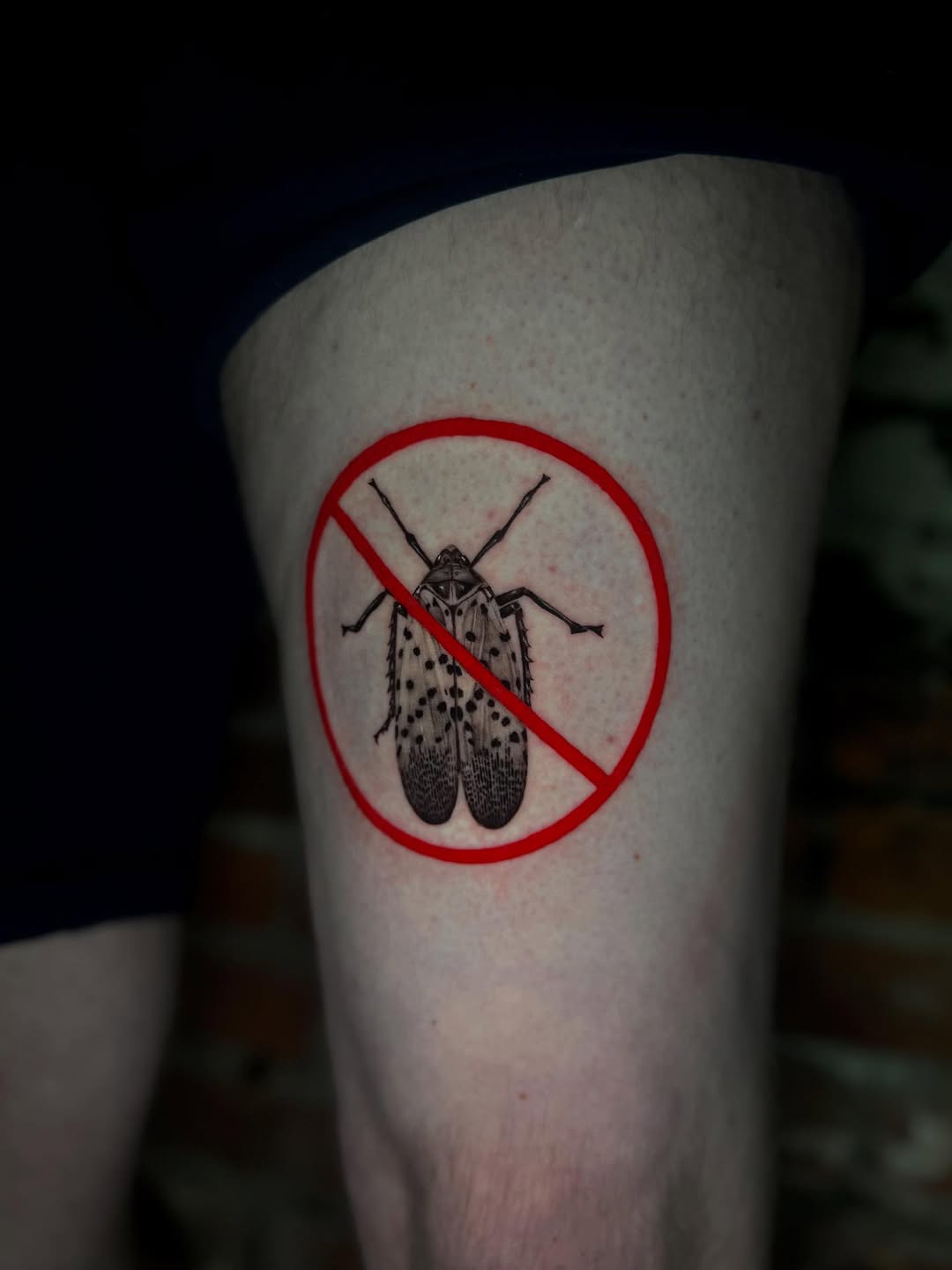 Tattoo by @isabelsmithtattoos — illustrative, black_and_grey