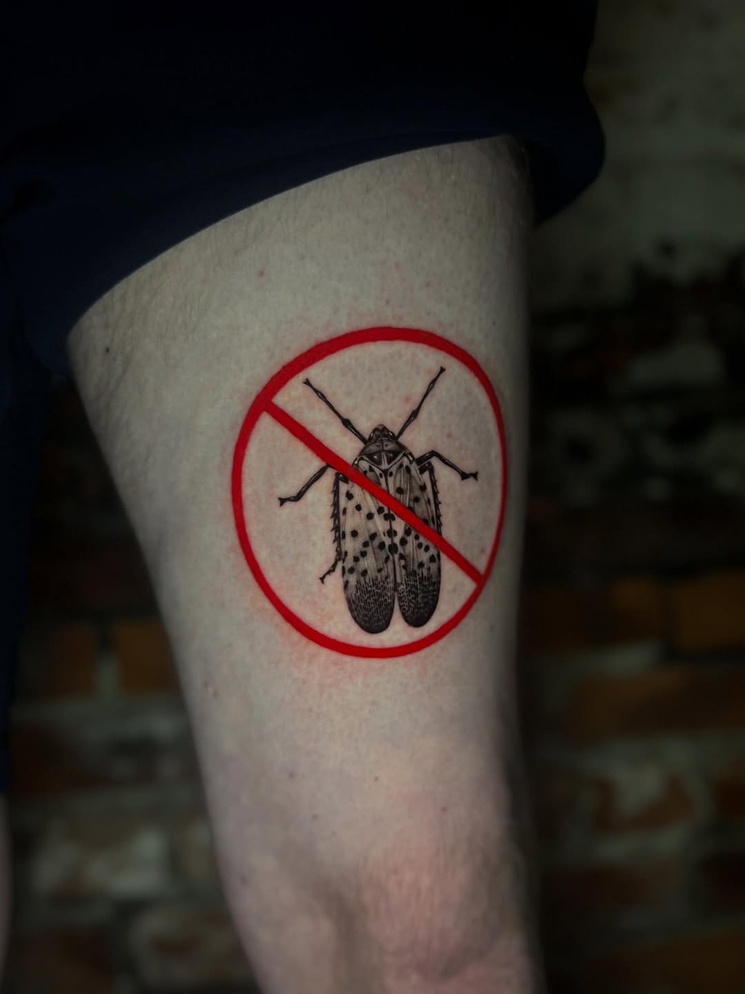 Tattoo by @isabelsmithtattoos — illustrative, black_and_grey