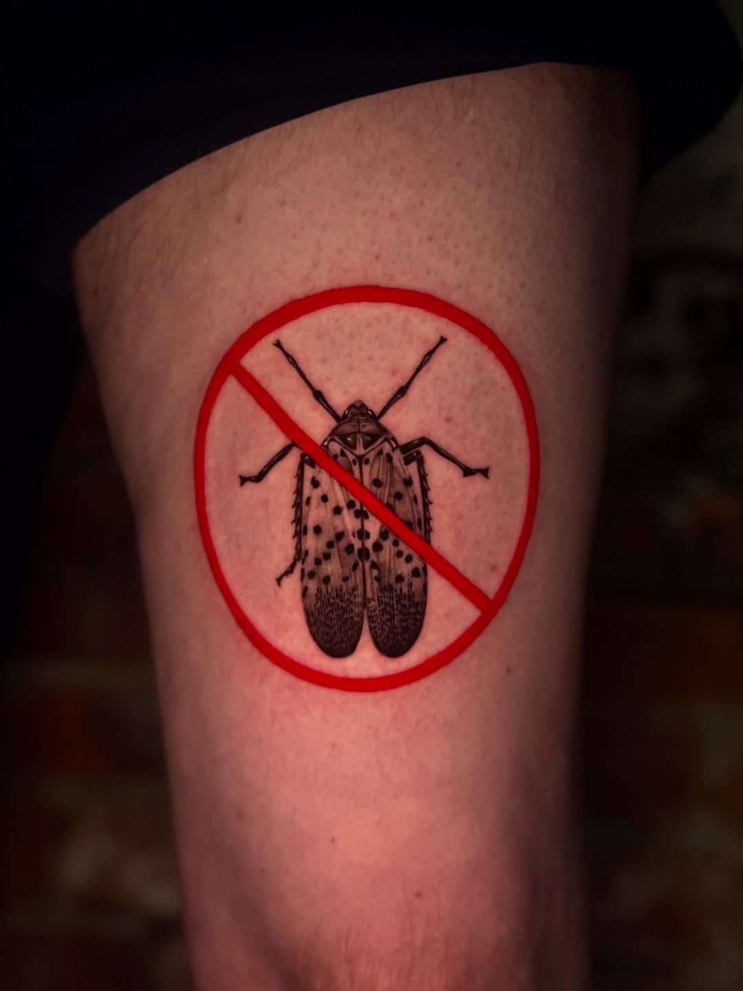 Tattoo by @isabelsmithtattoos — illustrative, black_and_grey
