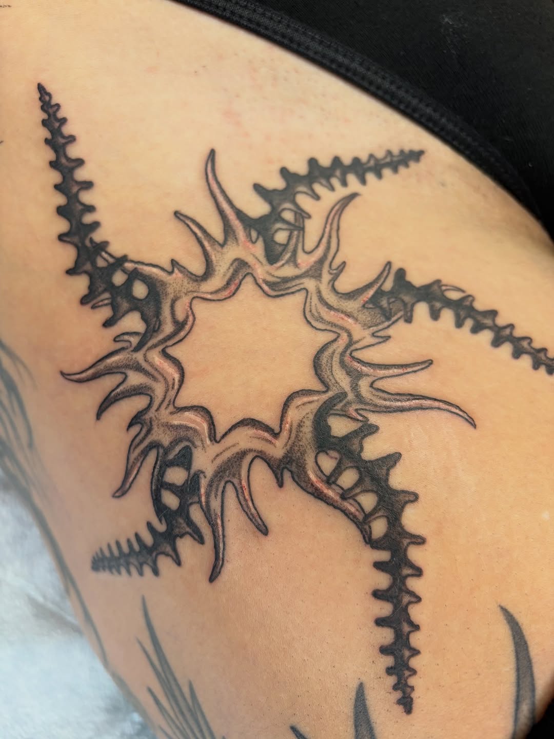 Tattoo by @bobibeanz — blackwork, ornamental