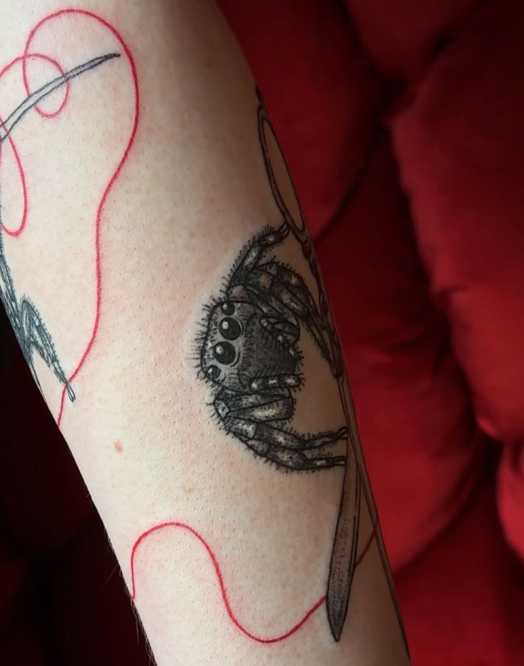 Tattoo by @spicy_sugarrr_tattoos — illustrative, black_and_grey
