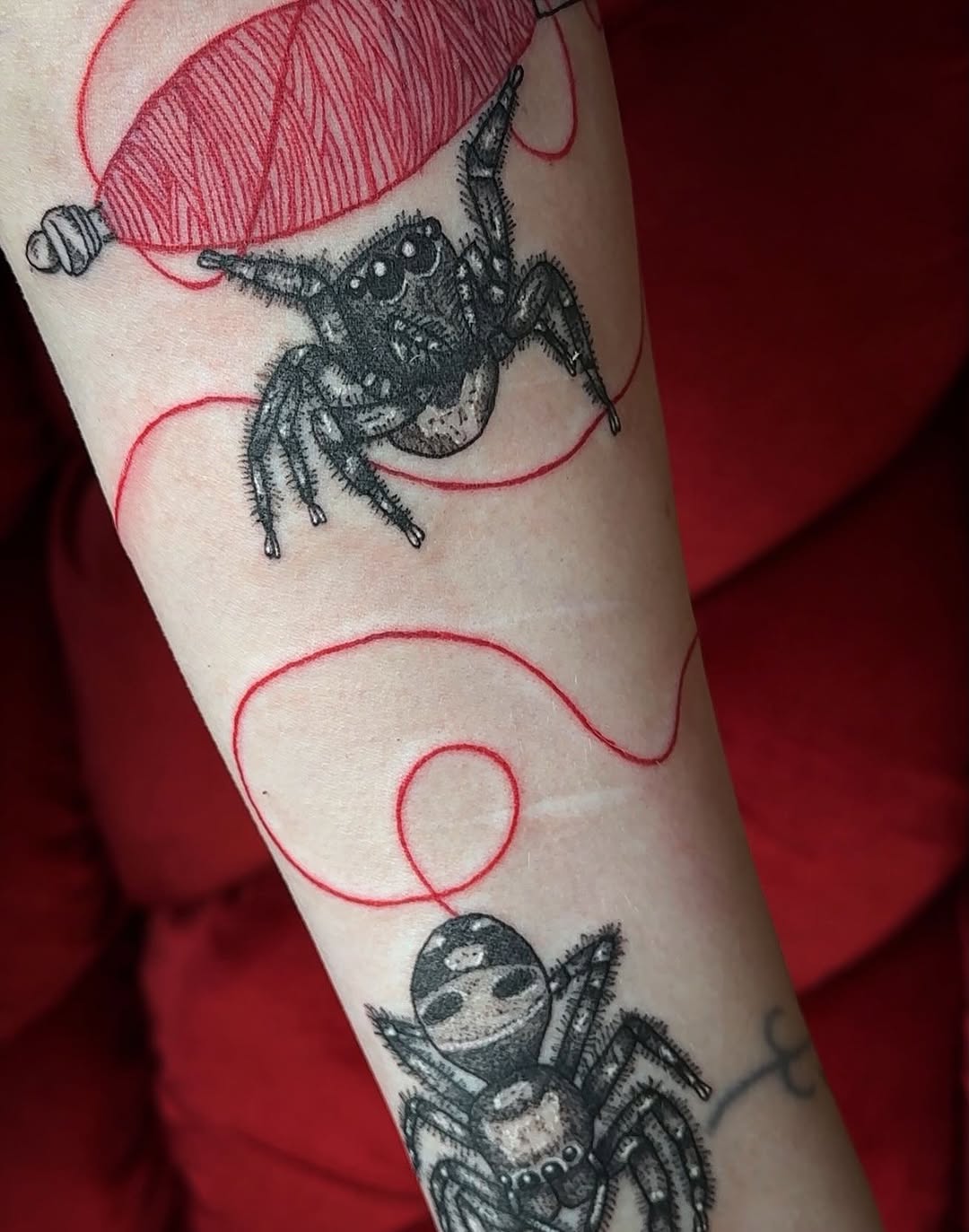 Tattoo by @spicy_sugarrr_tattoos — illustrative, black_and_grey