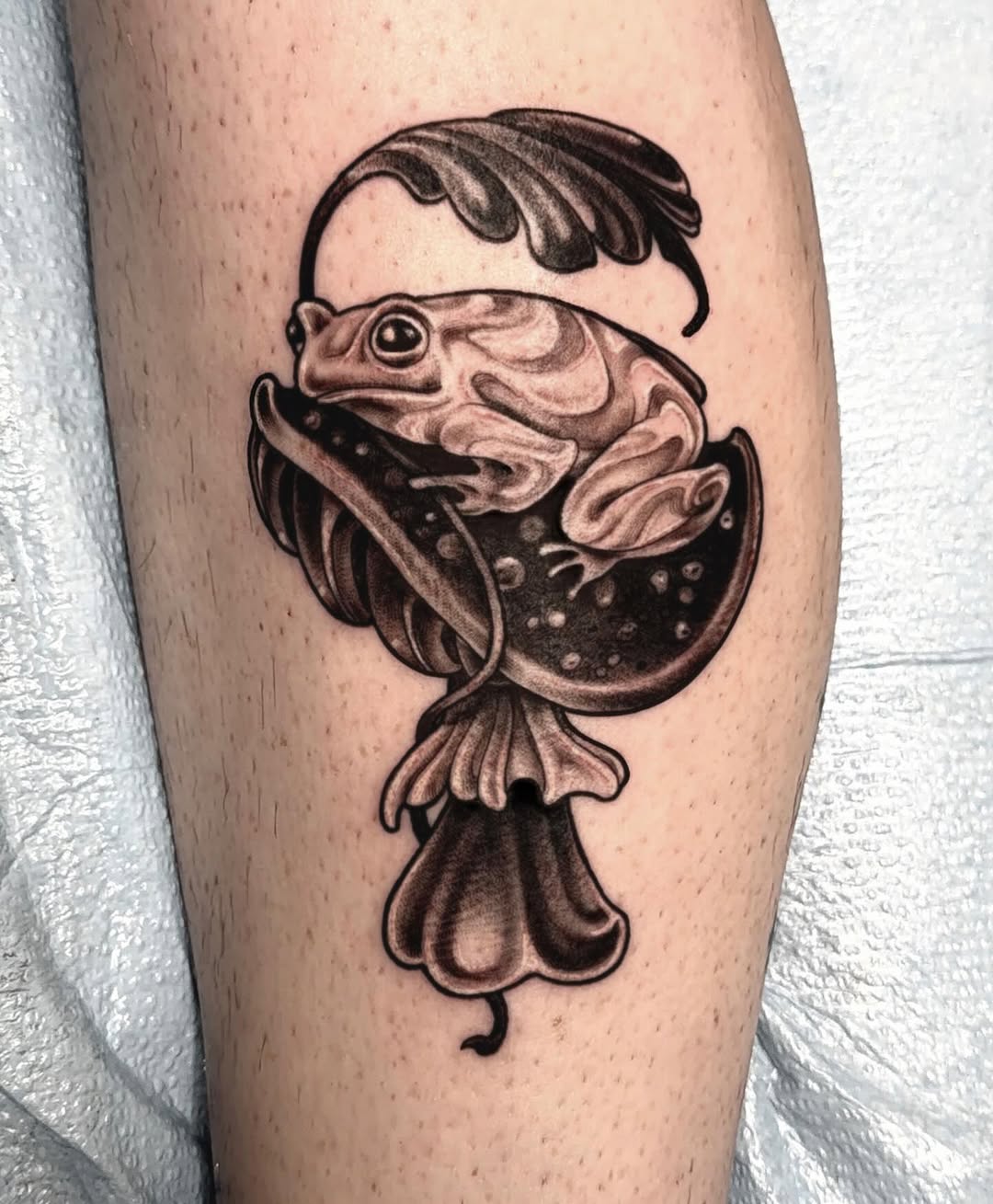 Tattoo by @heathersyvilla — black_and_grey, realism