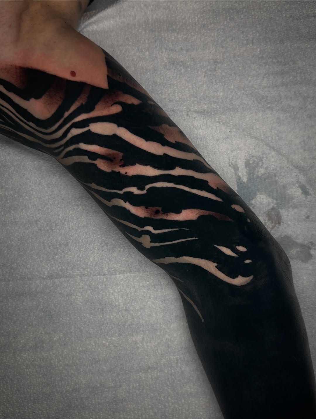 Tattoo by @scabberwocky — blackwork
