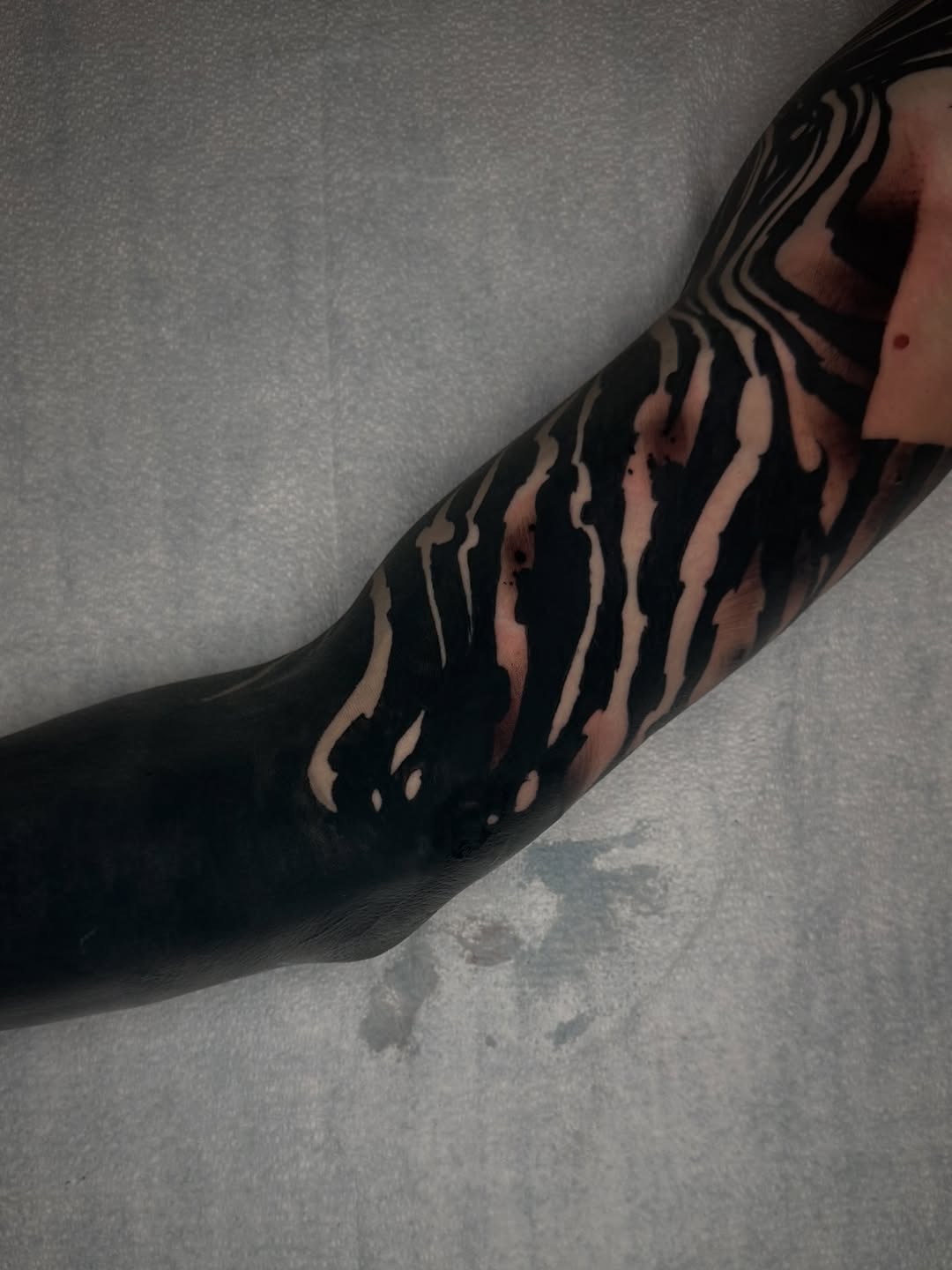 Tattoo by @scabberwocky — blackwork