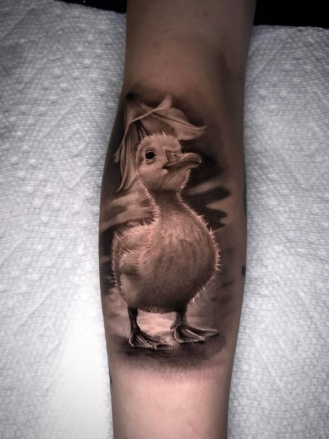 Tattoo by @cxrsmeiertattoos — realism, black_and_grey