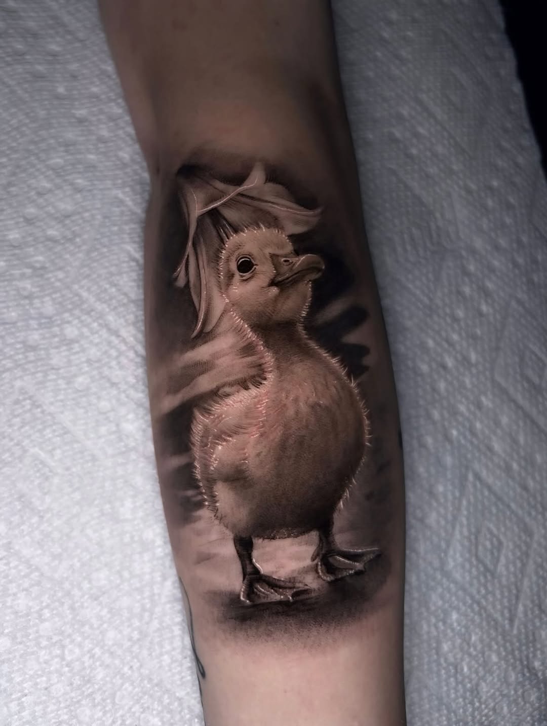 Tattoo by @cxrsmeiertattoos — realism, black_and_grey