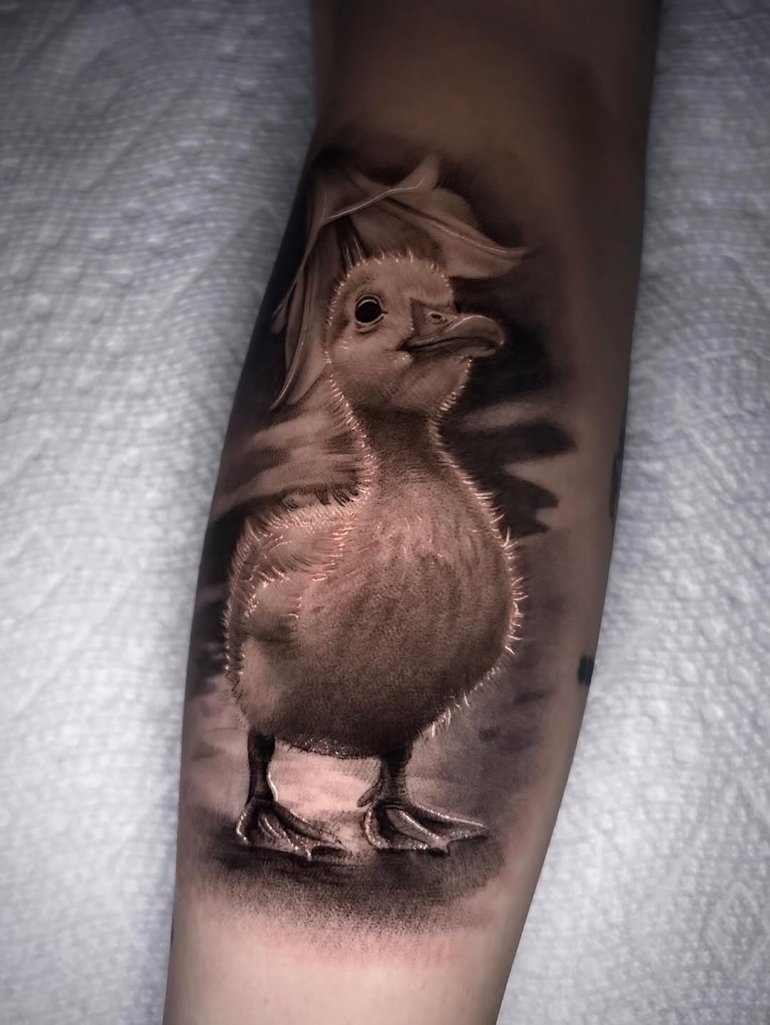Tattoo by @cxrsmeiertattoos — realism, black_and_grey