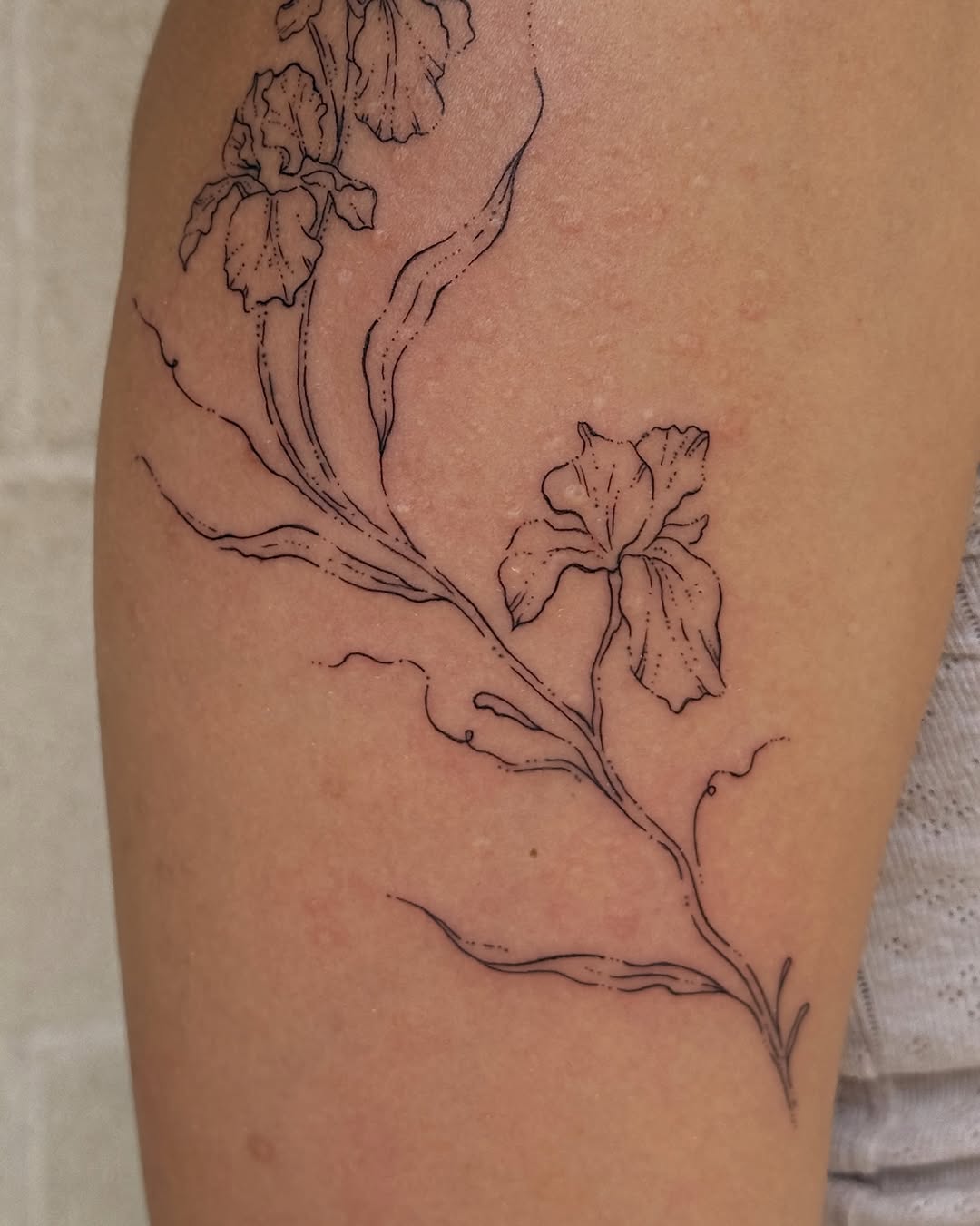 Tattoo by @inky_apricot — fine_line
