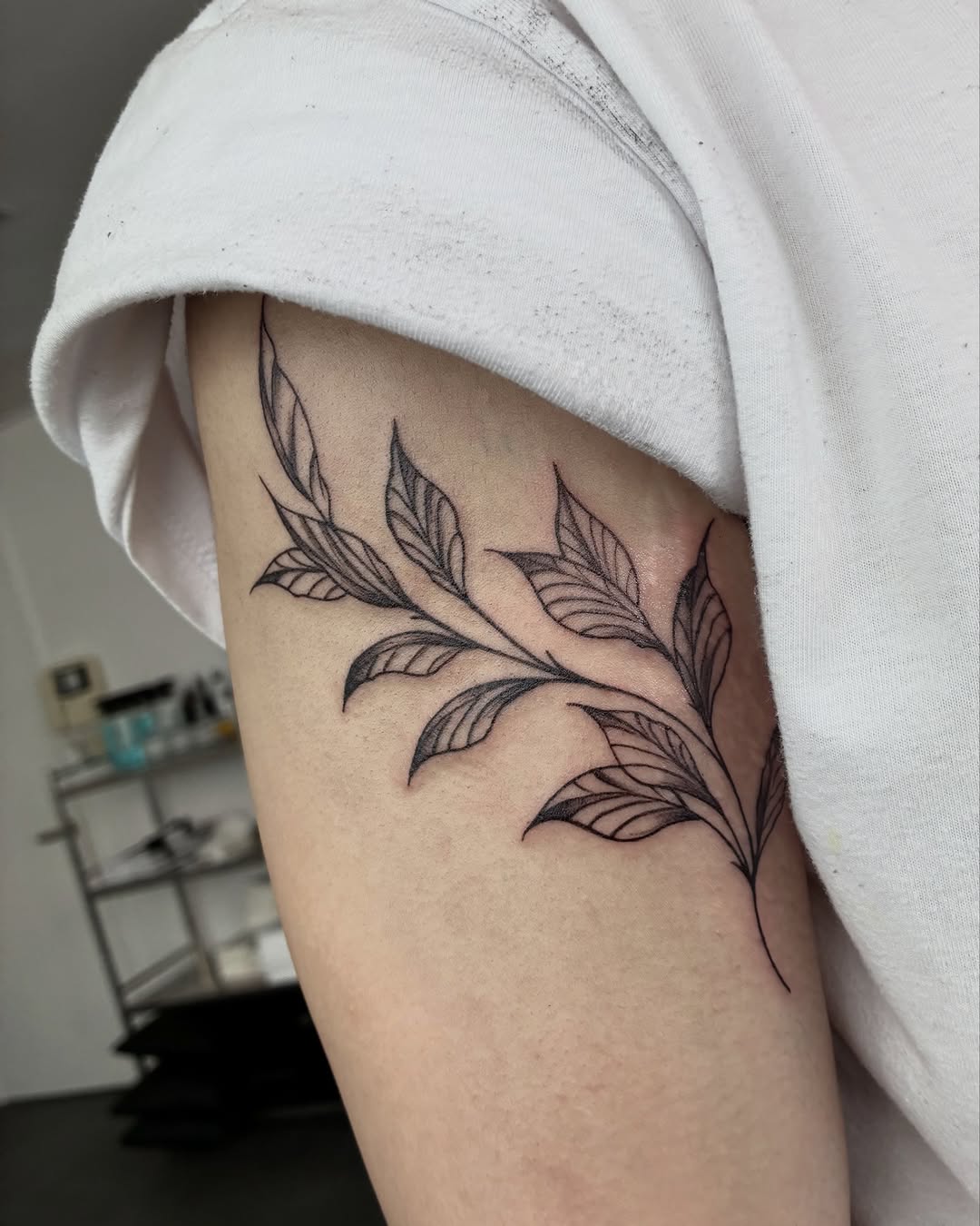 Tattoo by @stee_tt โ fine_line