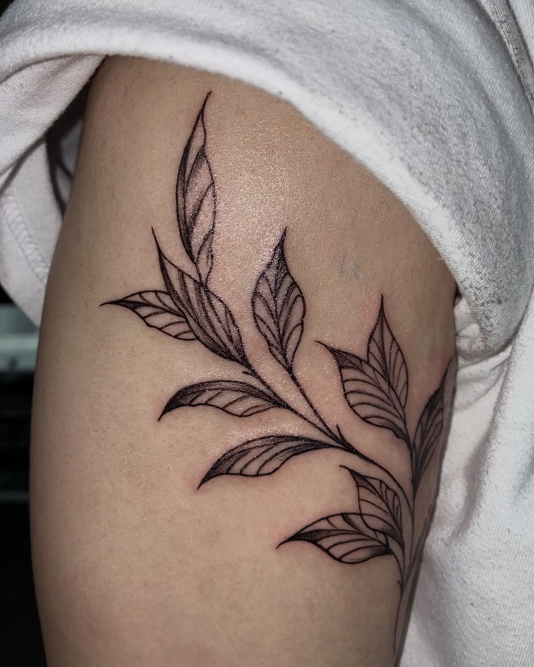 Tattoo by @stee_tt โ fine_line