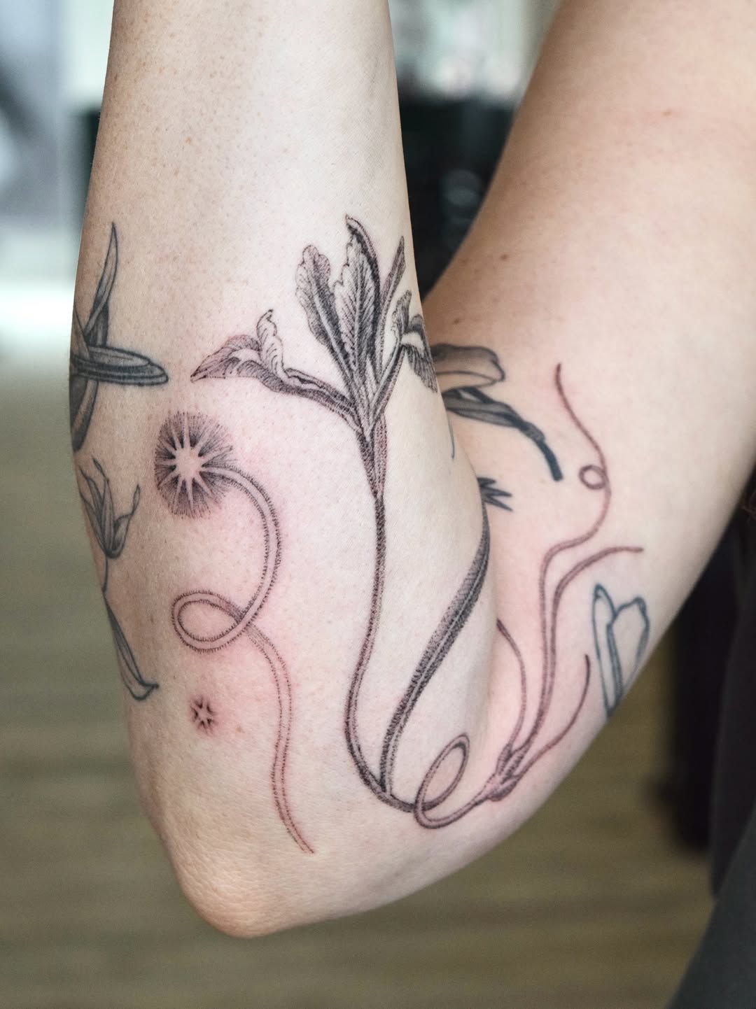 Tattoo by @oh_stella_oh — fine_line, illustrative