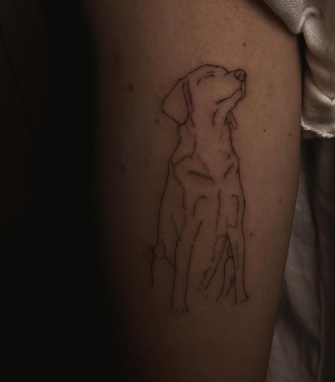 Tattoo by @red_rosalie_ โ fine_line, illustrative