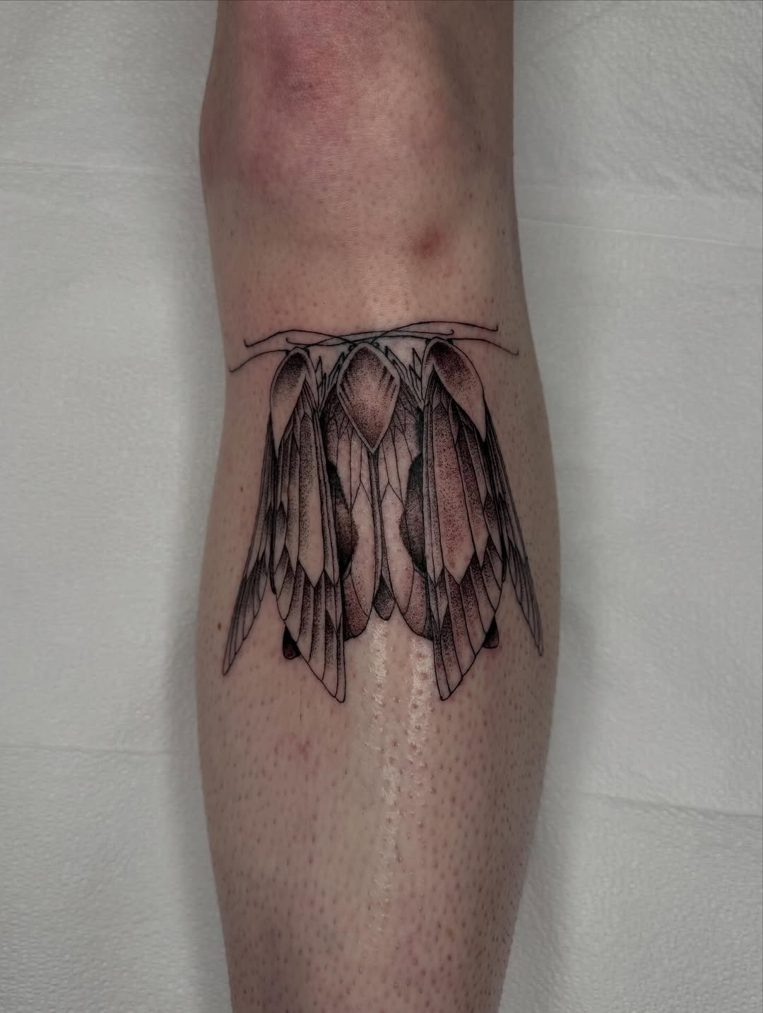 Tattoo by @mothmilk — dotwork, fine_line