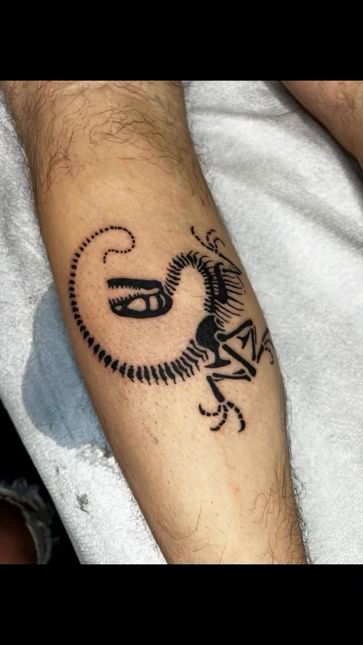 Tattoo by @cash_monii_tattoos — illustrative, blackwork