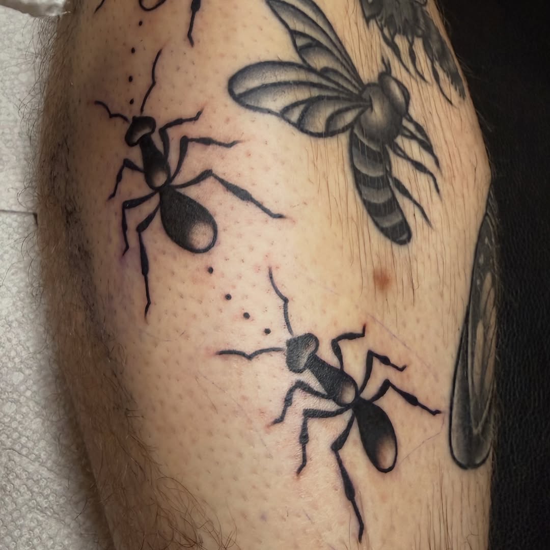 Tattoo by @kkstattoos — american_traditional