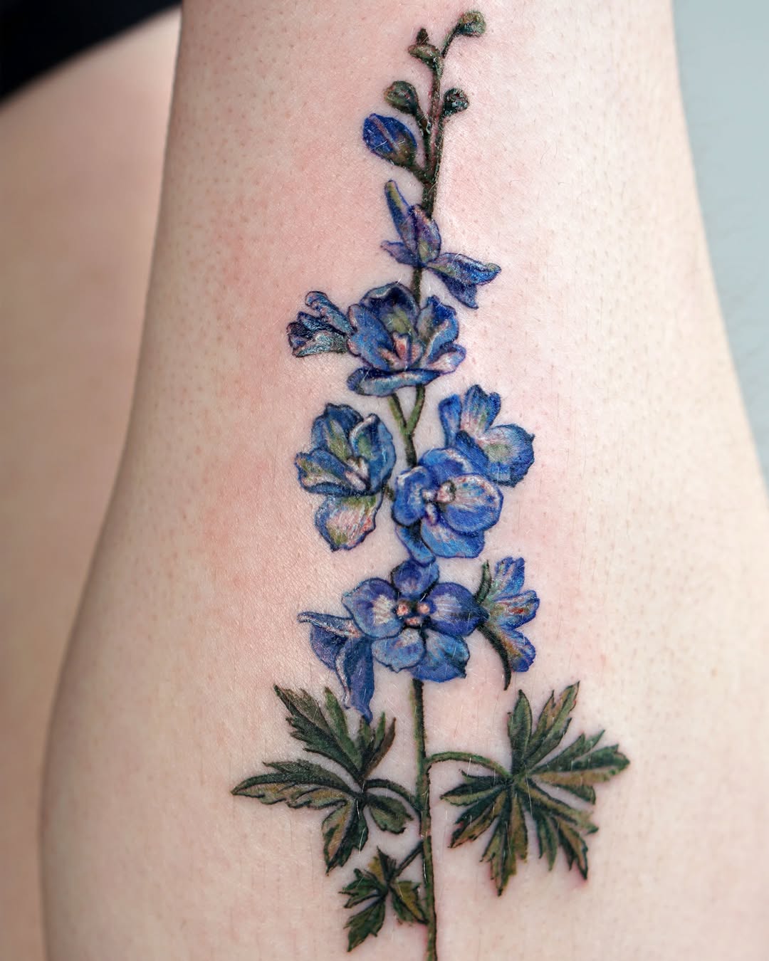 Tattoo by @1sle_tattoo — realism, fine_line