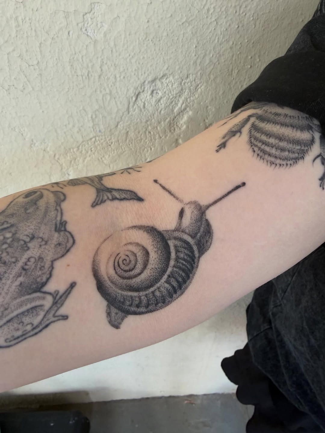 Tattoo by @polarizedbaby — dotwork, black_and_grey