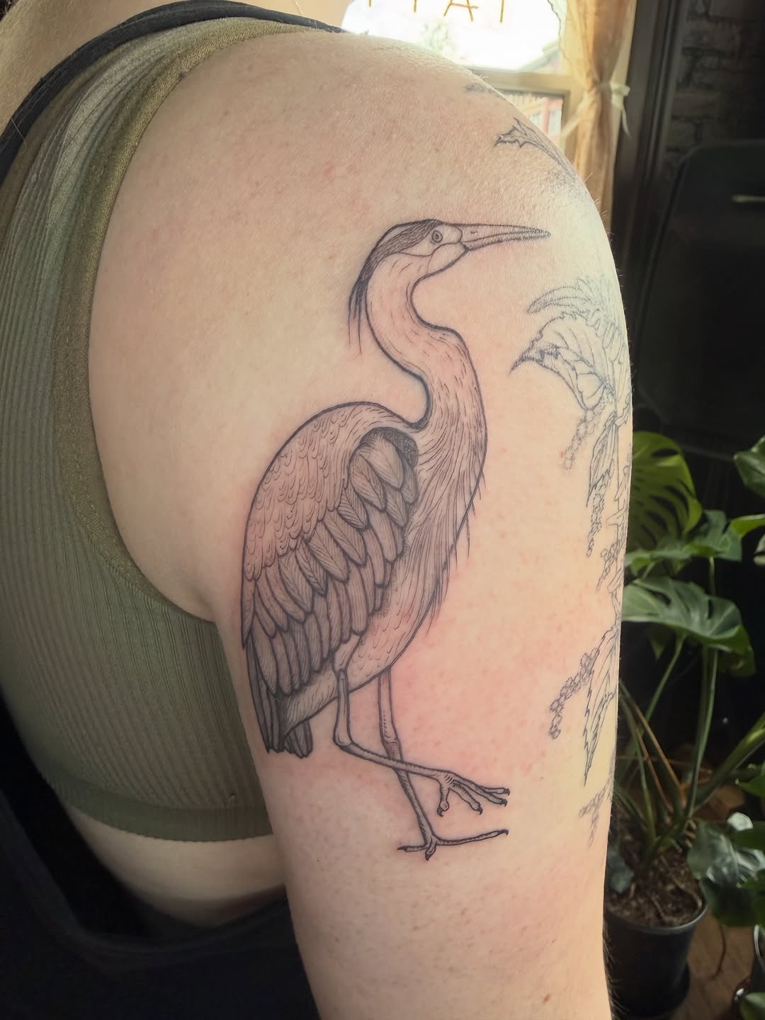 Tattoo by @honestbird — illustrative, black_and_grey