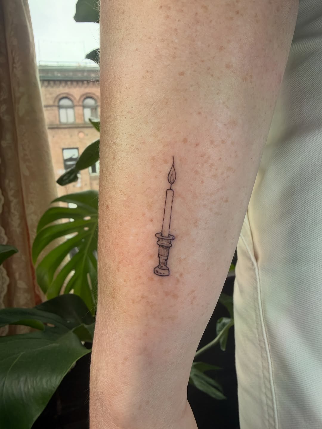 Tattoo by @honestbird — fine_line, illustrative