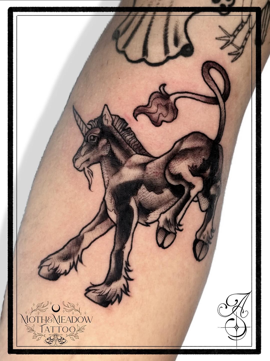 Tattoo by @ash.s.tattoos β blackwork, illustrative