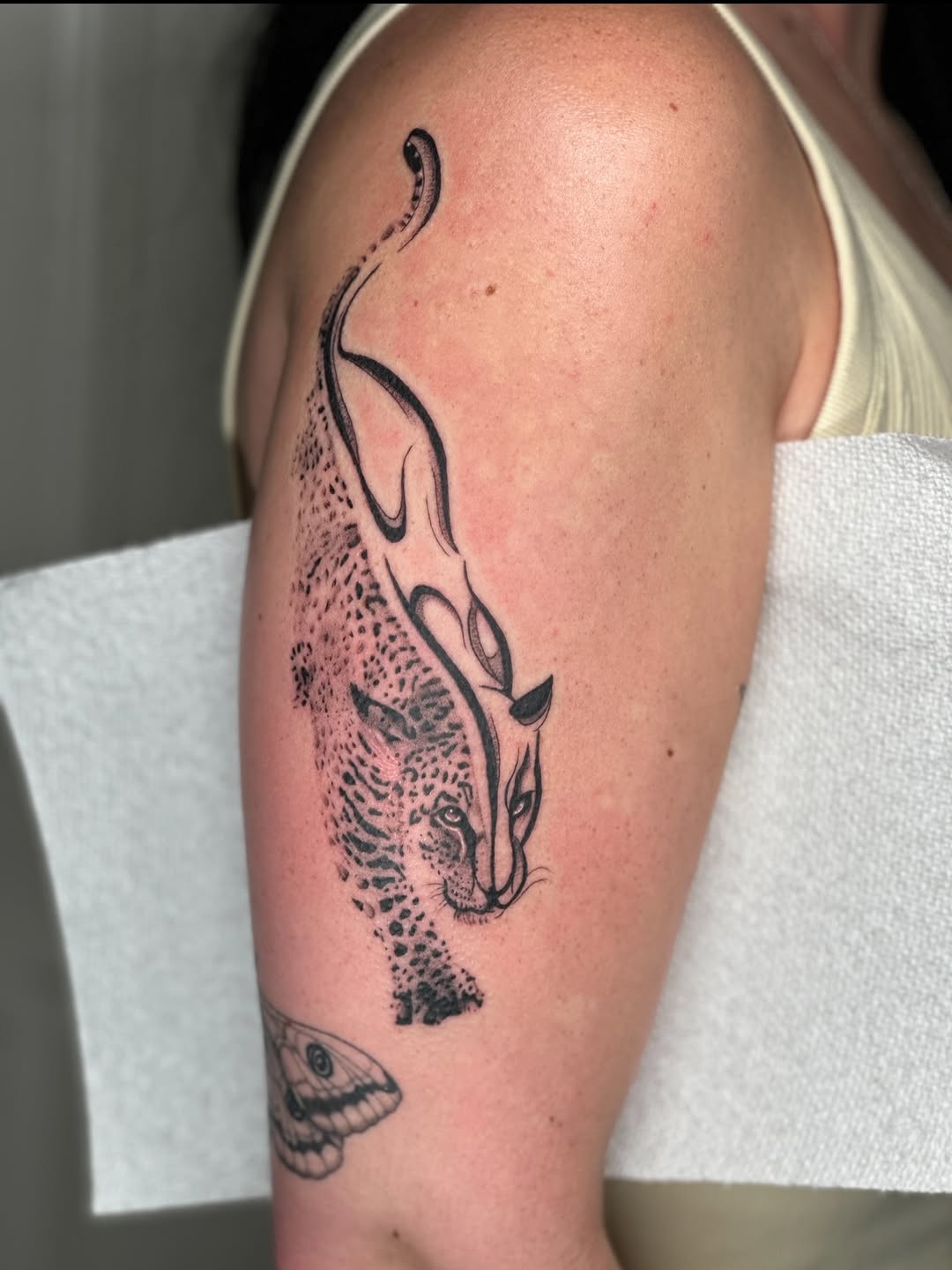 Tattoo by @nicolettemadlyne β black_and_grey, fine_line