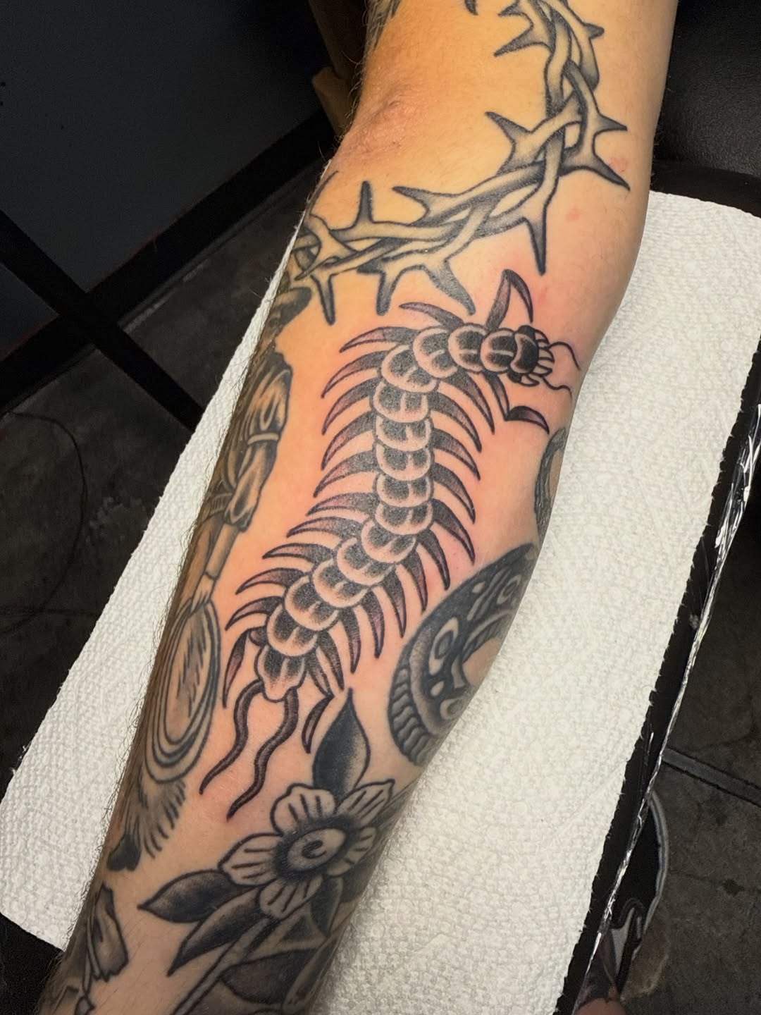 Tattoo by @sadgirltx — american_traditional, illustrative
