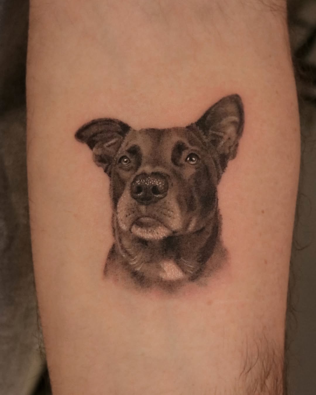 Tattoo by @nickthetailor — realism, black_and_grey