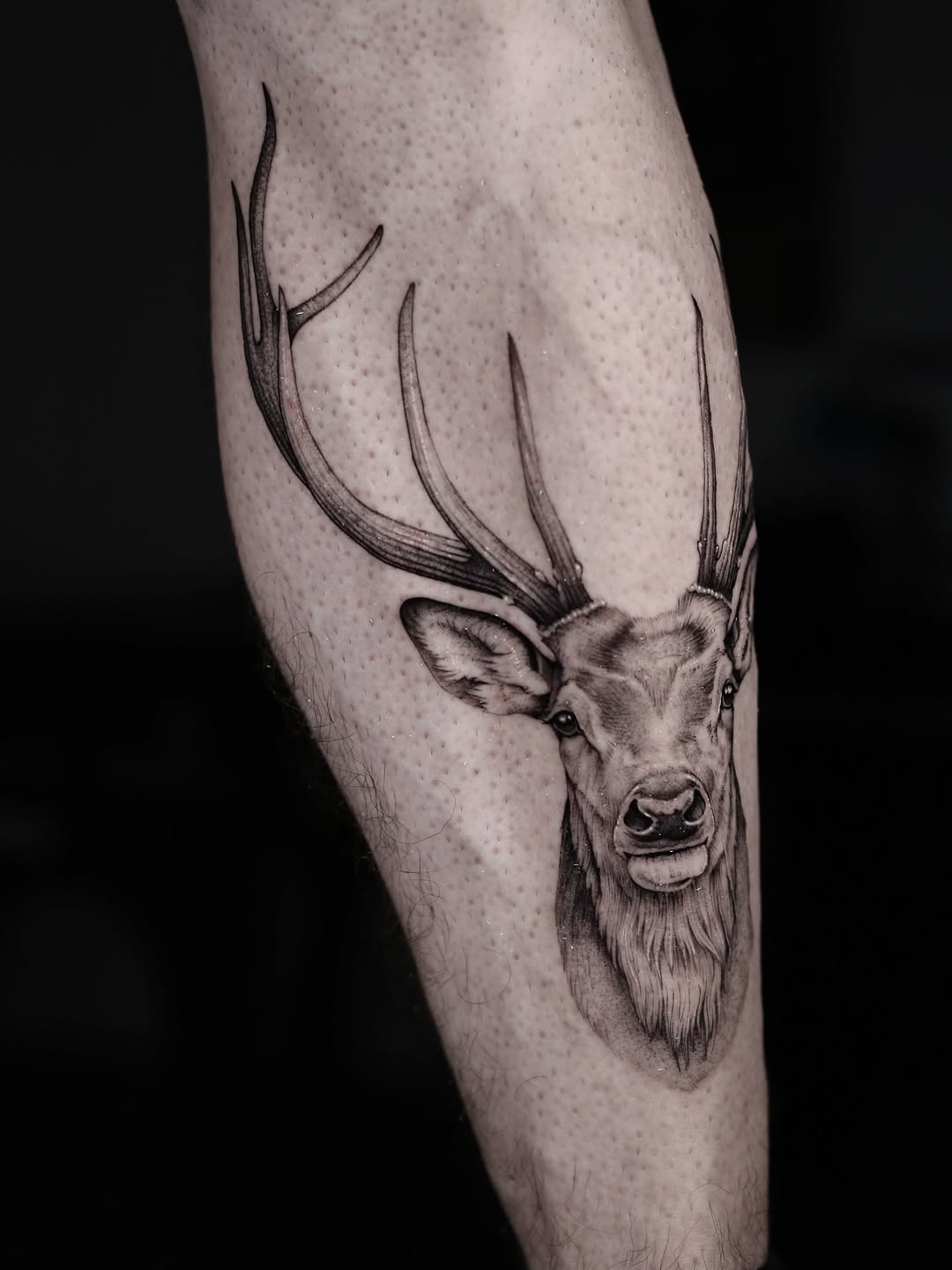 Tattoo by @stevefranciosa.tattoos — realism, black_and_grey