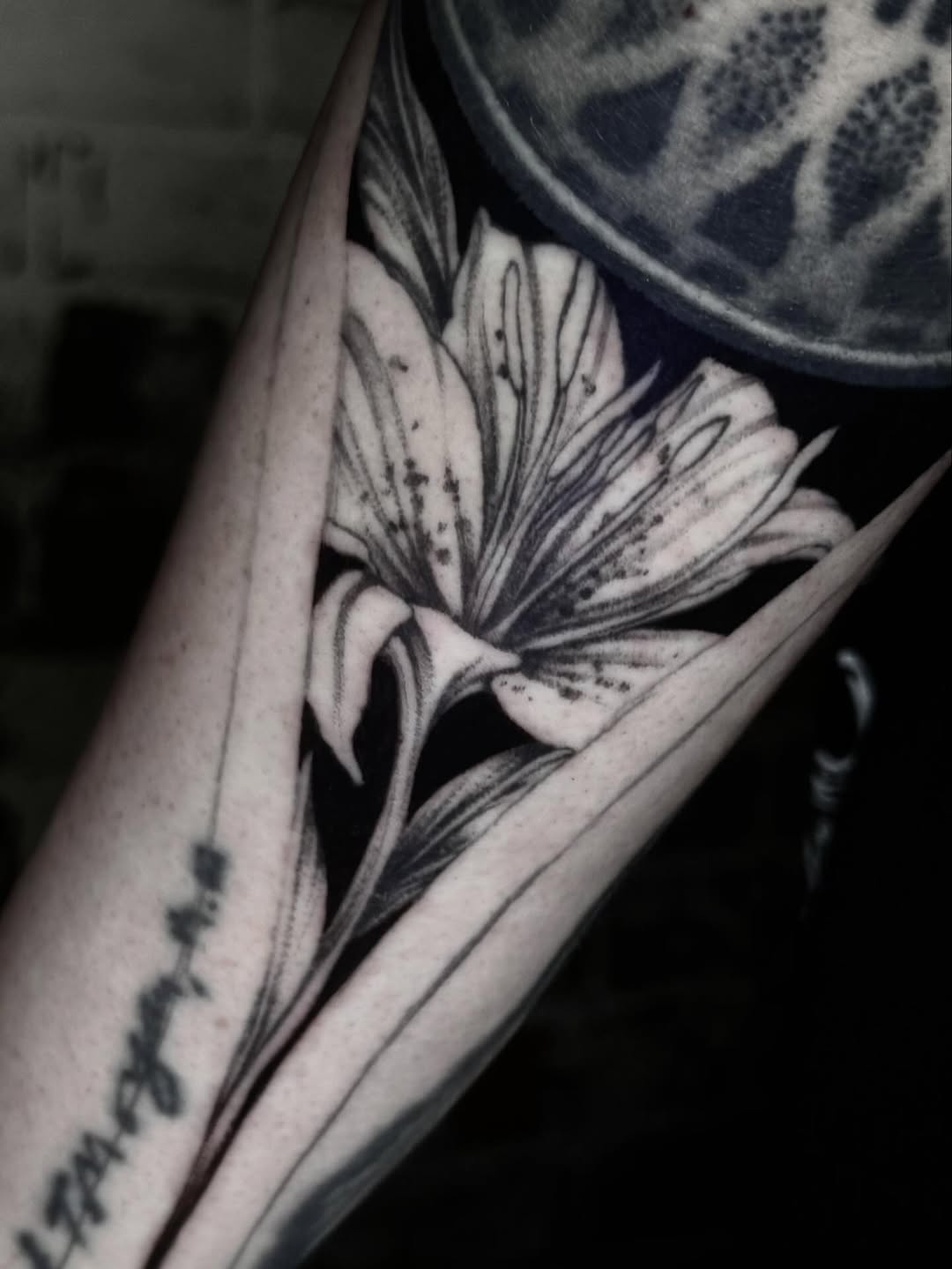 Tattoo by @nox.ternal β black_and_grey, realism