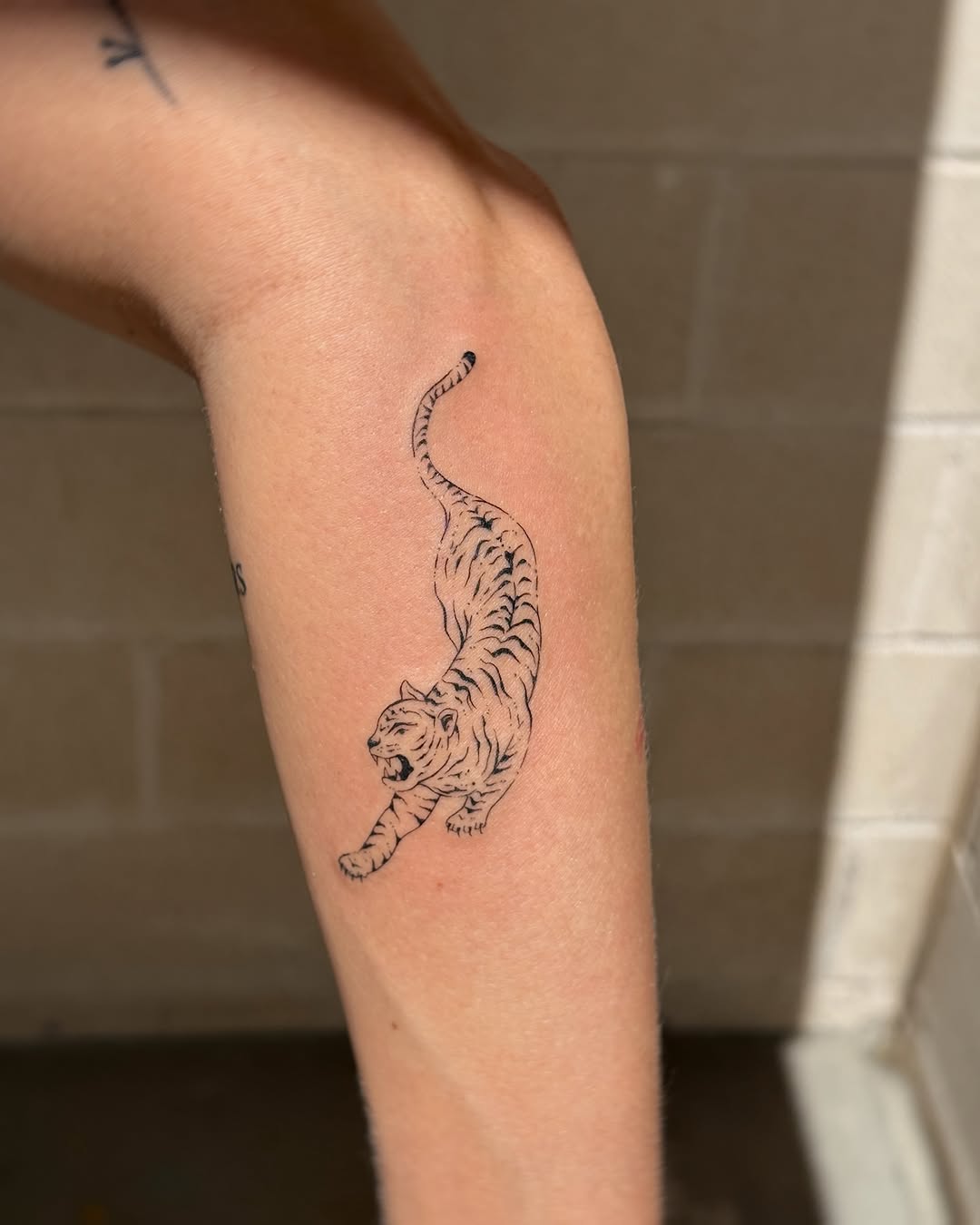 Tattoo by @inky_apricot — fine_line