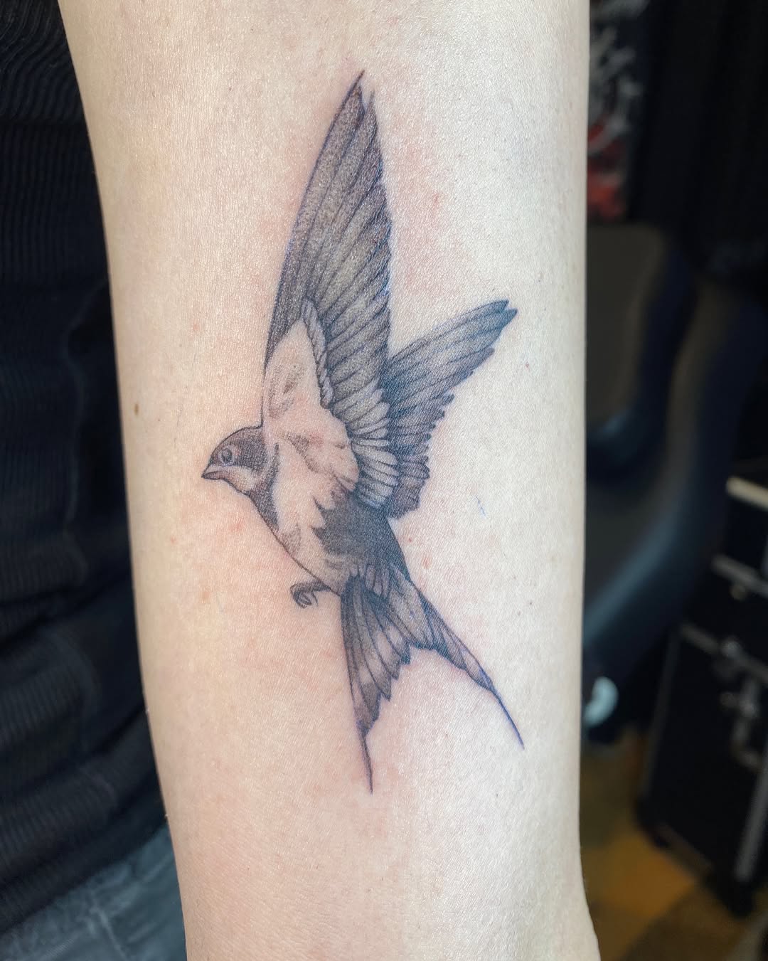 Tattoo by @krookedtattoos โ fine_line, black_and_grey