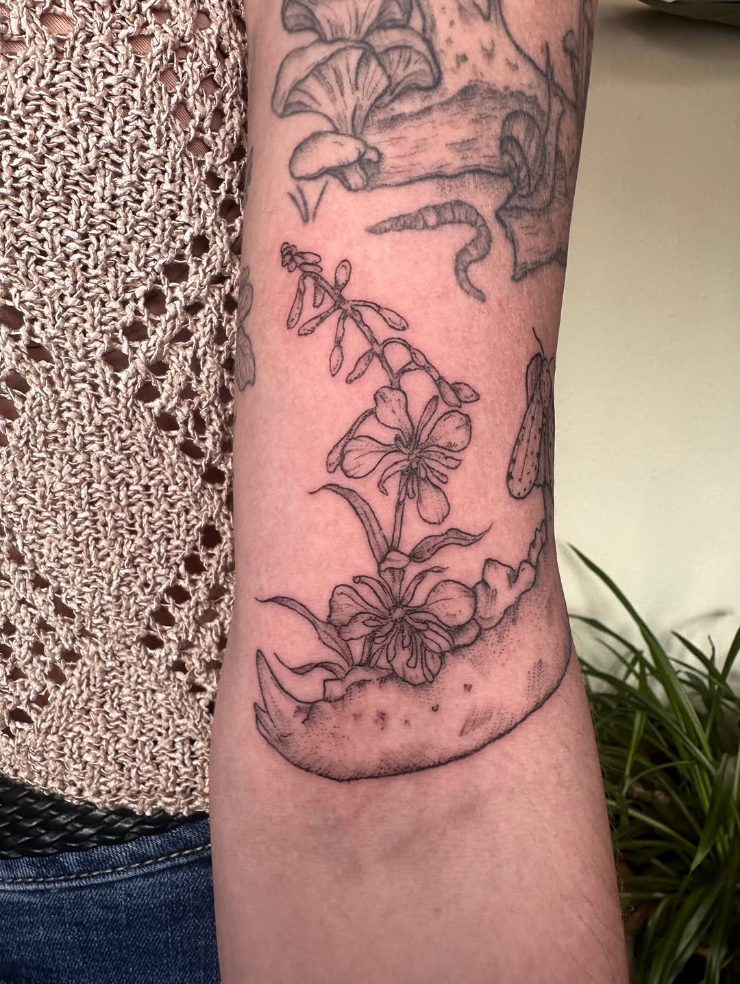 Tattoo by @folkandfernink โ black_and_grey