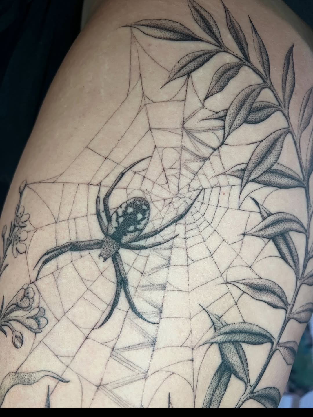Tattoo by @natasha_schmidt_art — dotwork