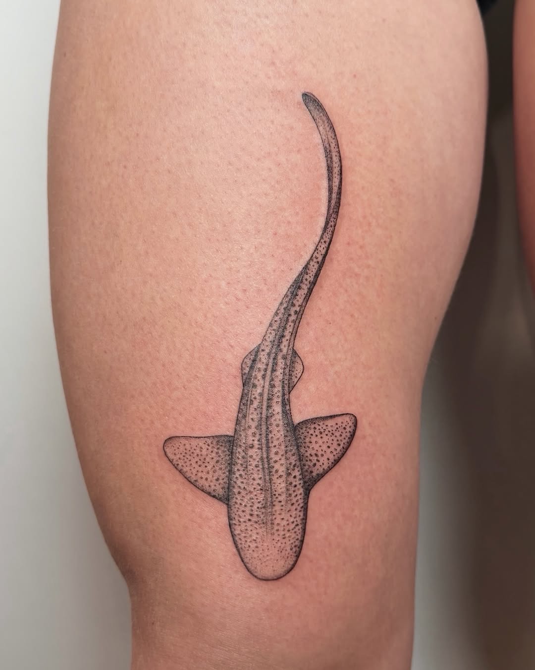 Tattoo by @fennec.fox.tats — dotwork, black_and_grey