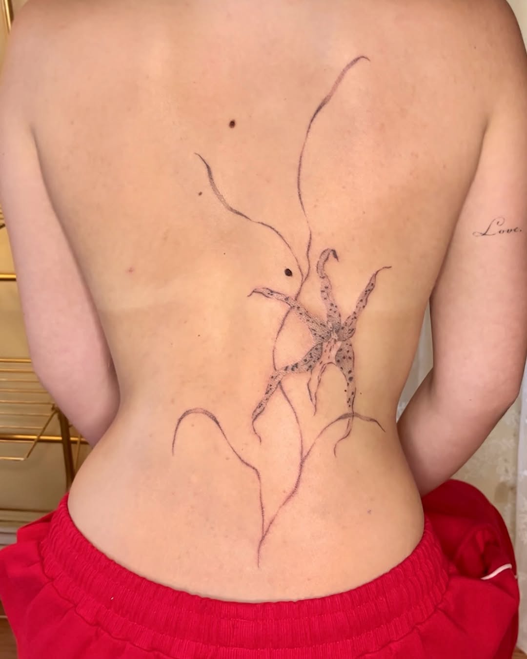 Tattoo by @softtissuetattoo — fine_line