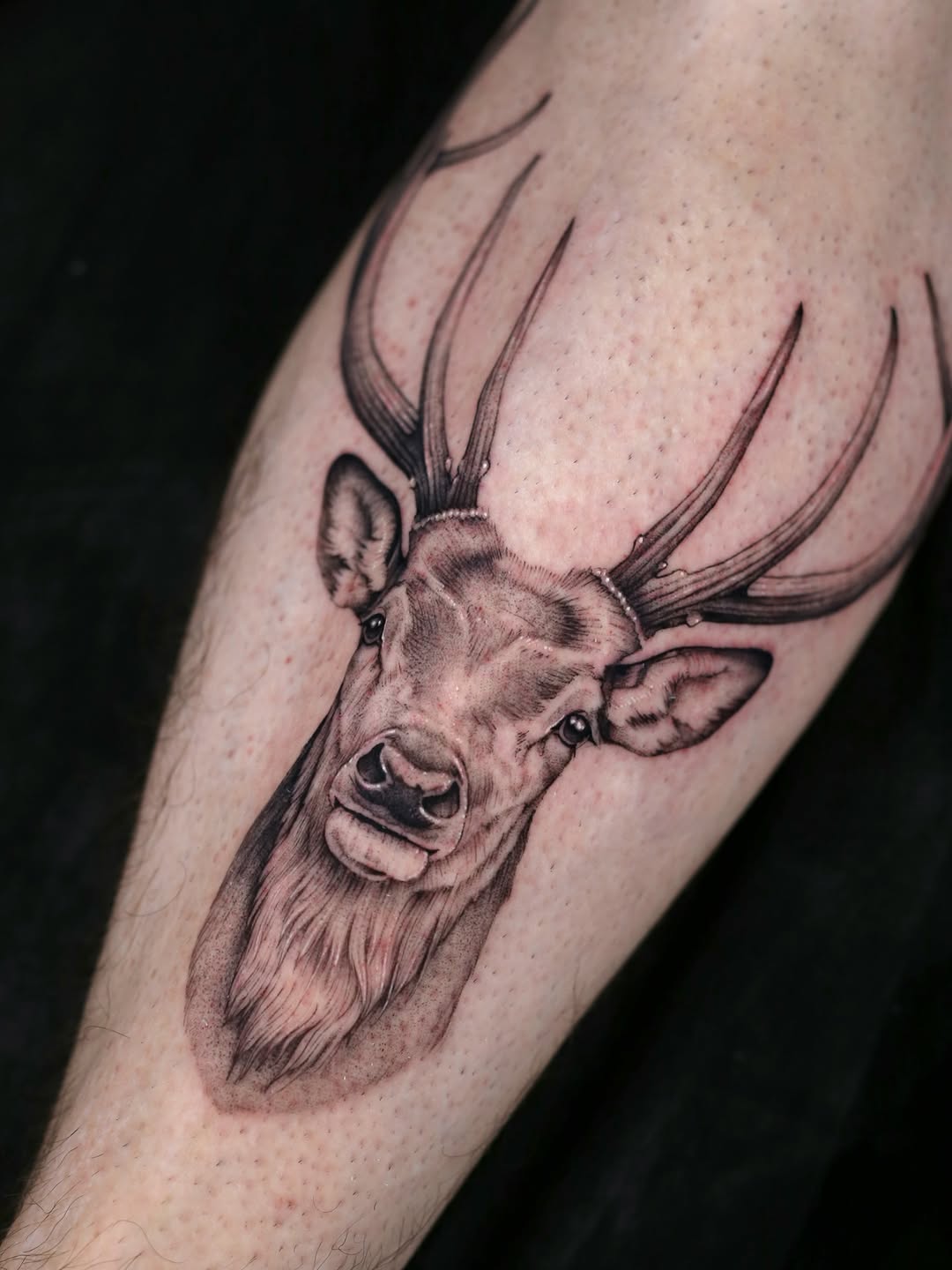 Tattoo by @stevefranciosa.tattoos — realism, black_and_grey